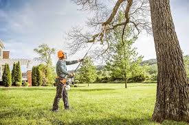 Best Lot and Land Clearing  in Kingston Estates, NJ